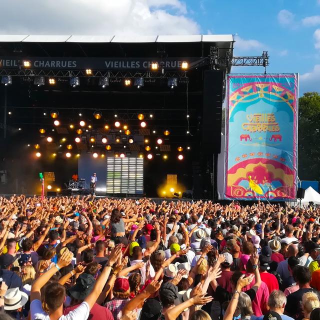 Public en liesse à un concert au Festival des Vieilles Charrues.