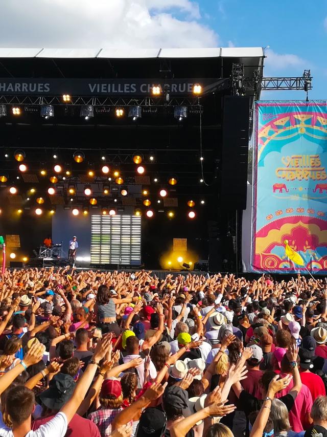 Public en liesse à un concert au Festival des Vieilles Charrues.