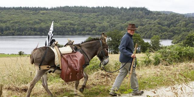 Randonnée en bonne compagnie, avec un âne flanqué de sacoches, au bord du Canal de Nantes à Brest