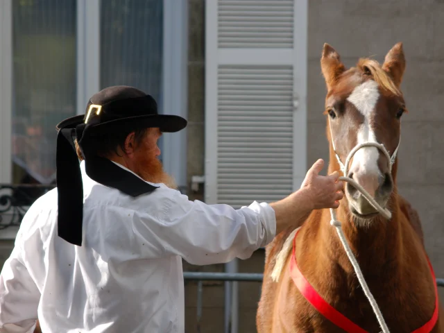 La Foire aux chevaux en automne à Carhaix