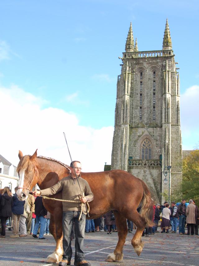 La Foire aux chevaux