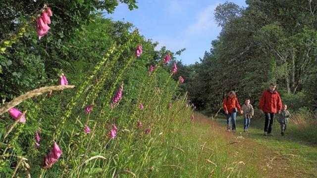 Sur les chemins du Poher