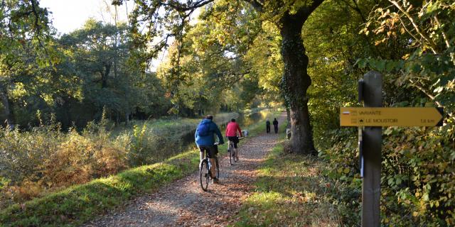 Vélo Canal Web